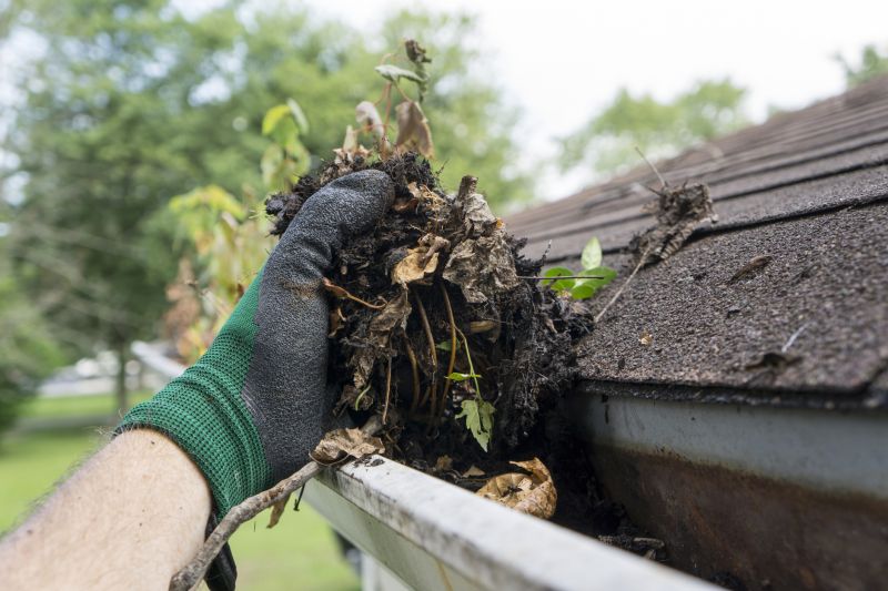 Clean Gutter System